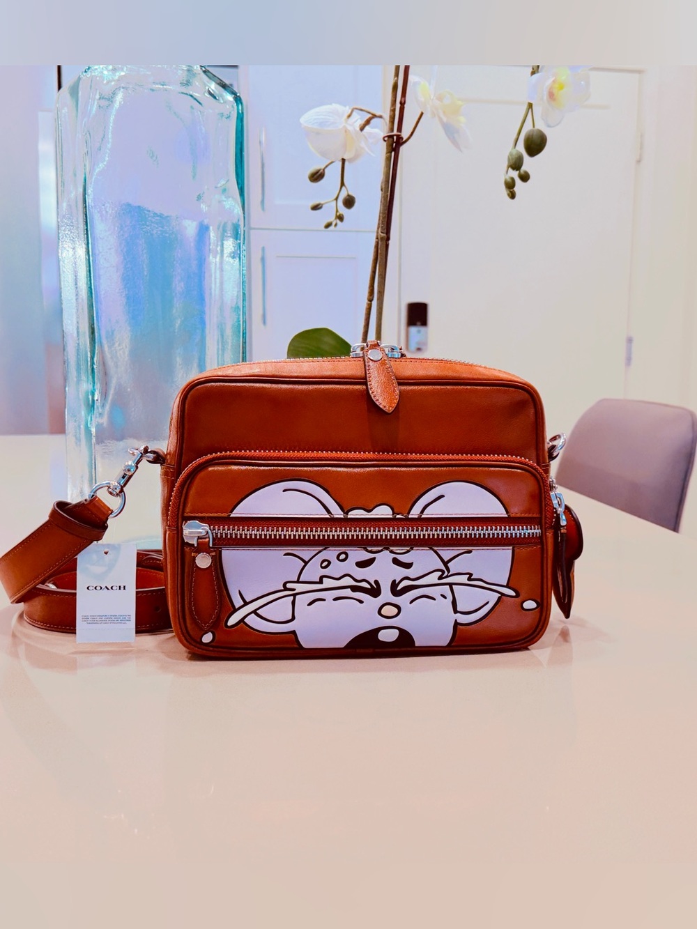 Coach x Brain Dead Mouse Dakota in Amber Brown NWT